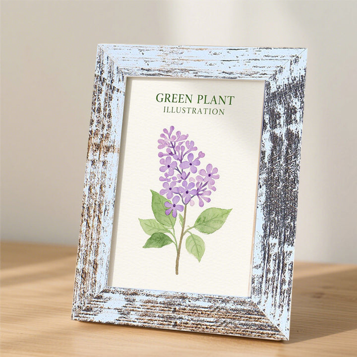 Framed Botanical Illustration Art