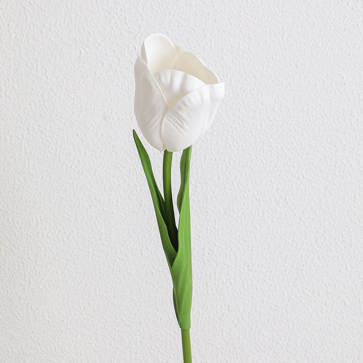 Decorative Art Tulip