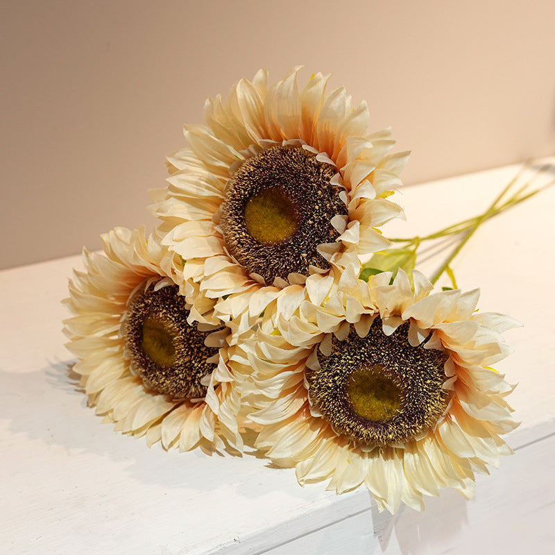 Decorative Plant
