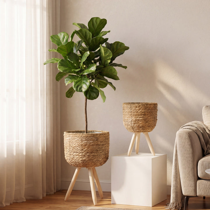 Avarnia Planter