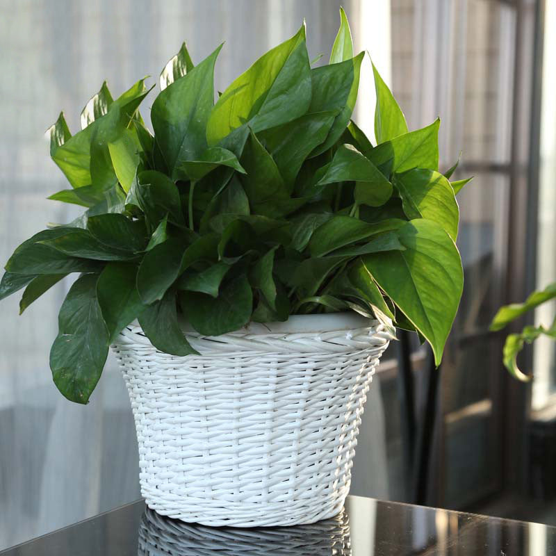 Decorative plant basket made of woven material