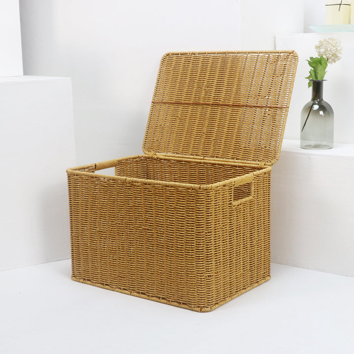 Practical storage basket with lid