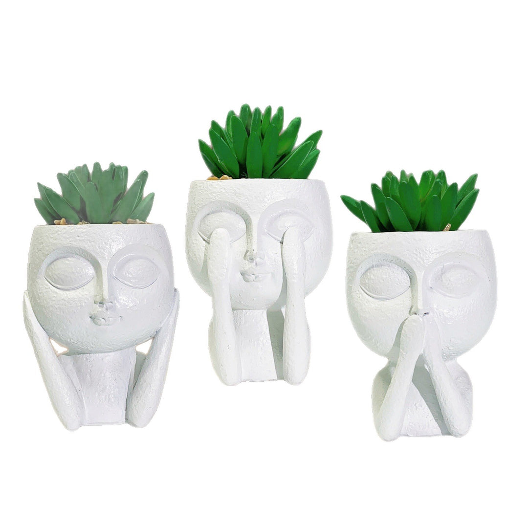 Plant pot with face motif