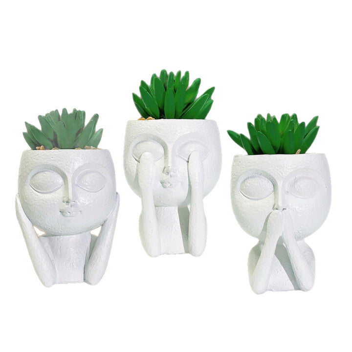 Plant pot with face motif