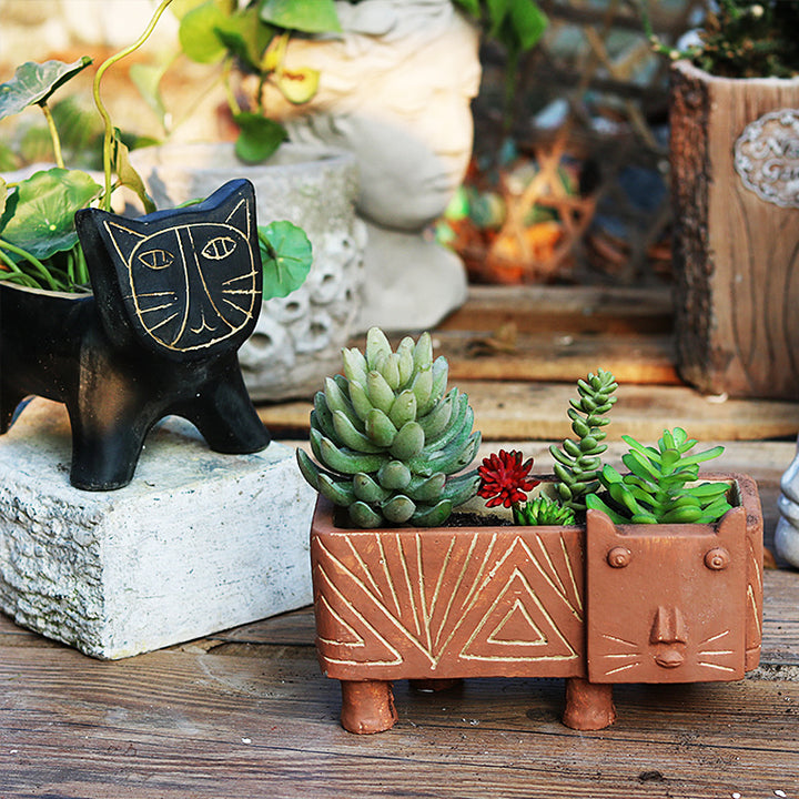 Decorative Plant Bowl