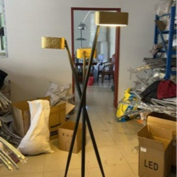 Modern Floor Lamp