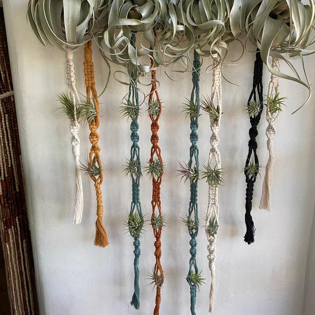 Elegant Macrame Plant Wall Hanging