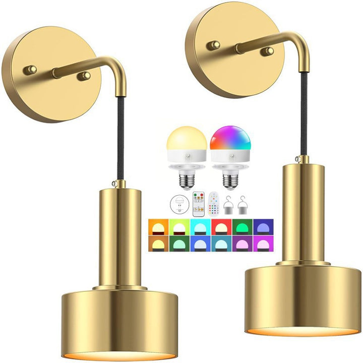 Modern intelligent pendant light