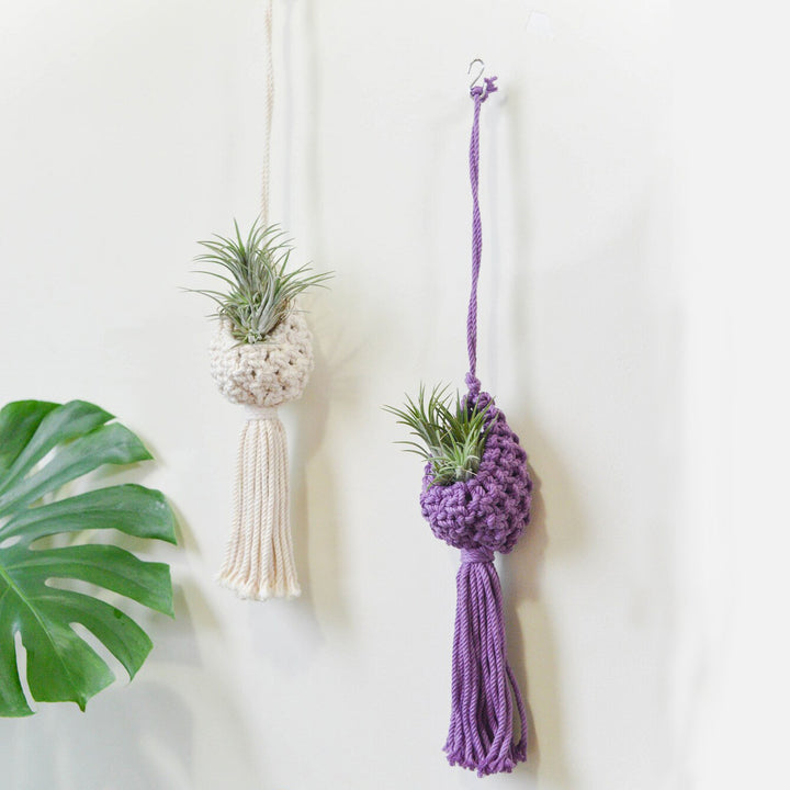 Macrame Hanging Plant Holder with Decorative Tassel