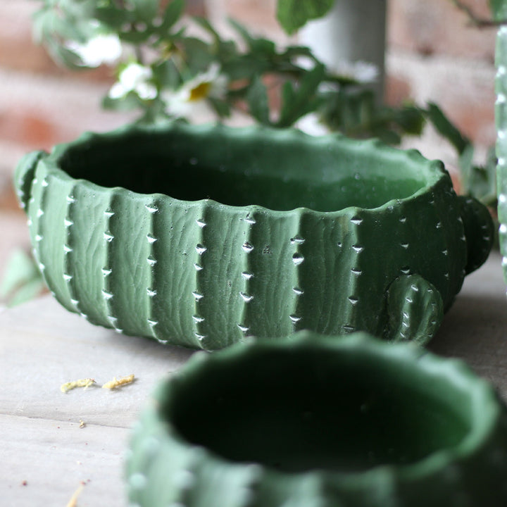 Decorative flower pot in cactus design