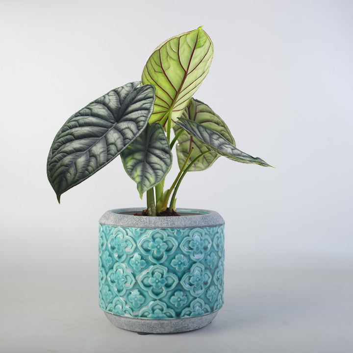 Flower pot
