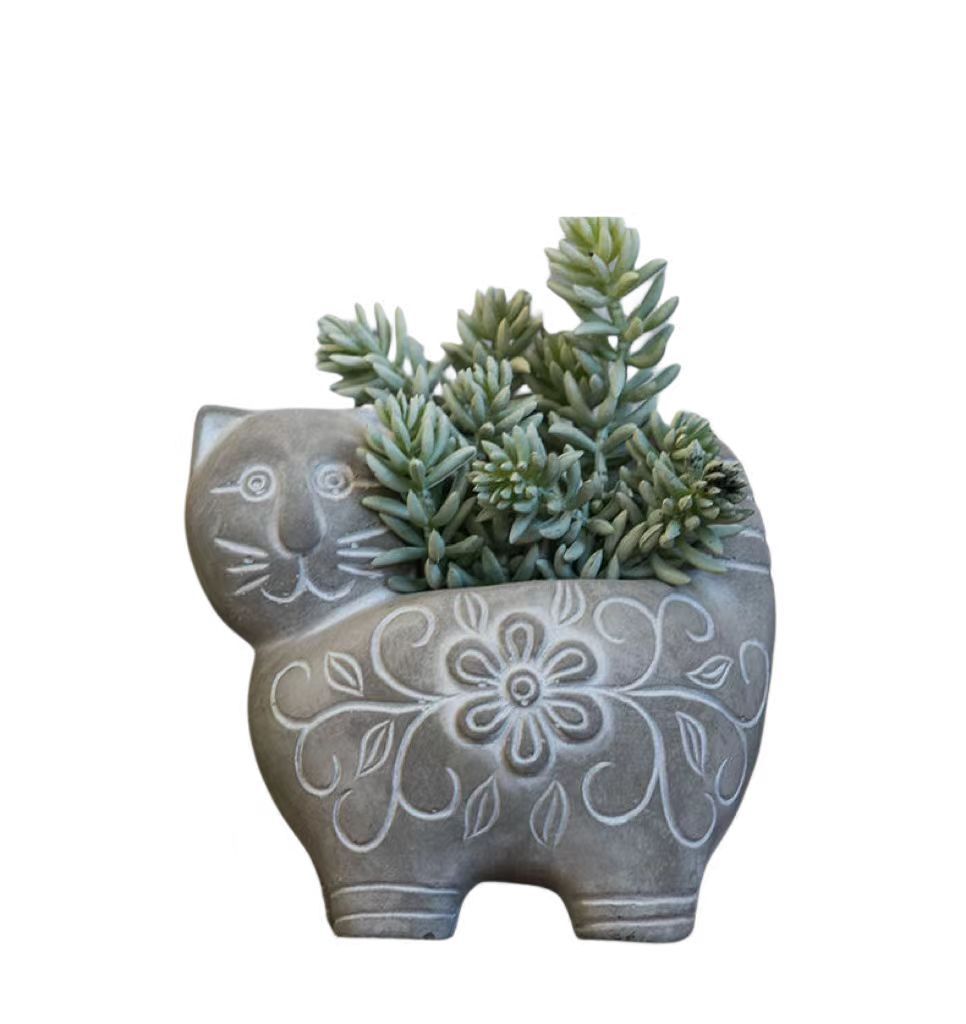 Decorative Plant