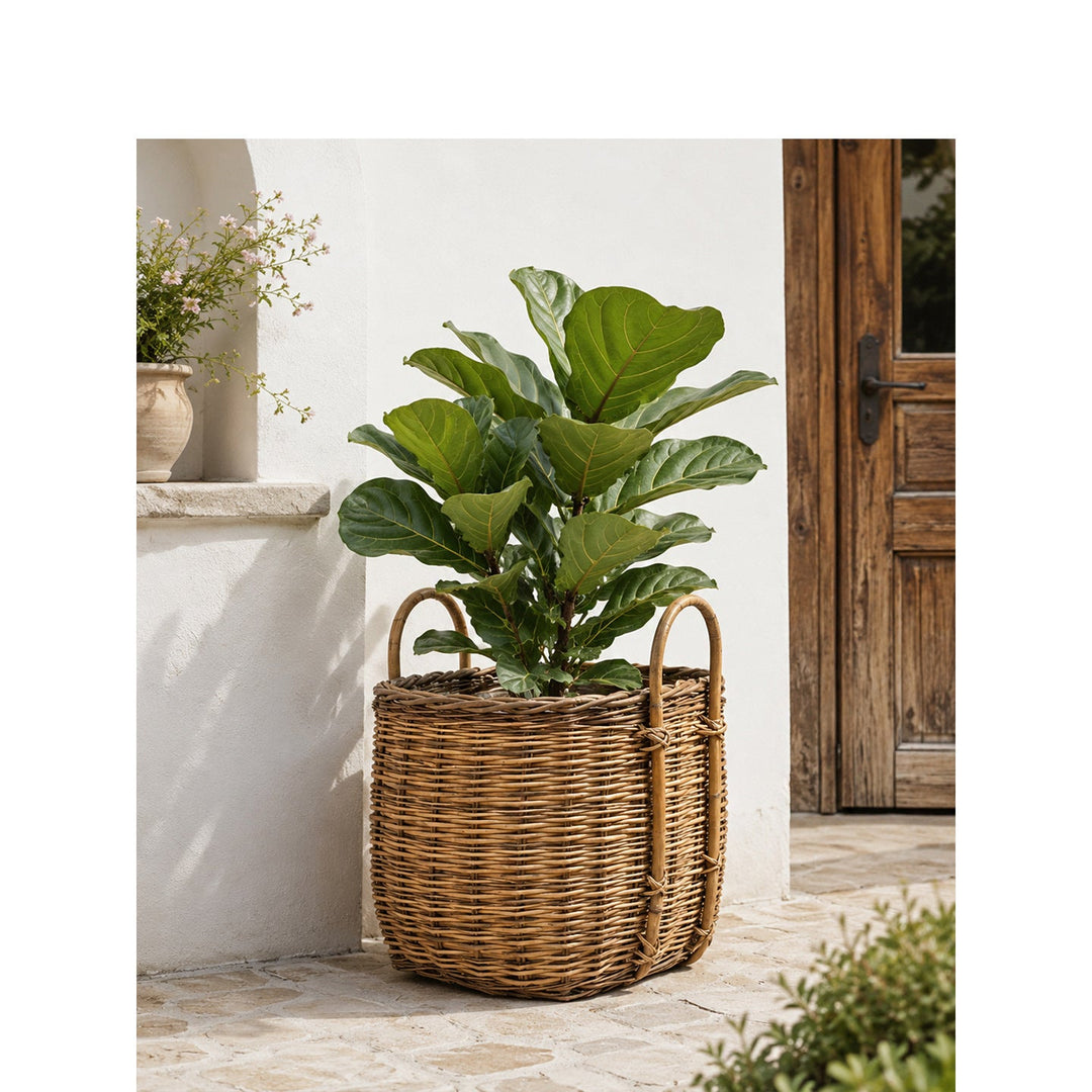 Robust basket with lid and practical handle
