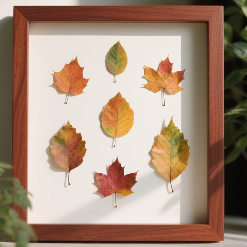 Framed Natural Leaf Art Display