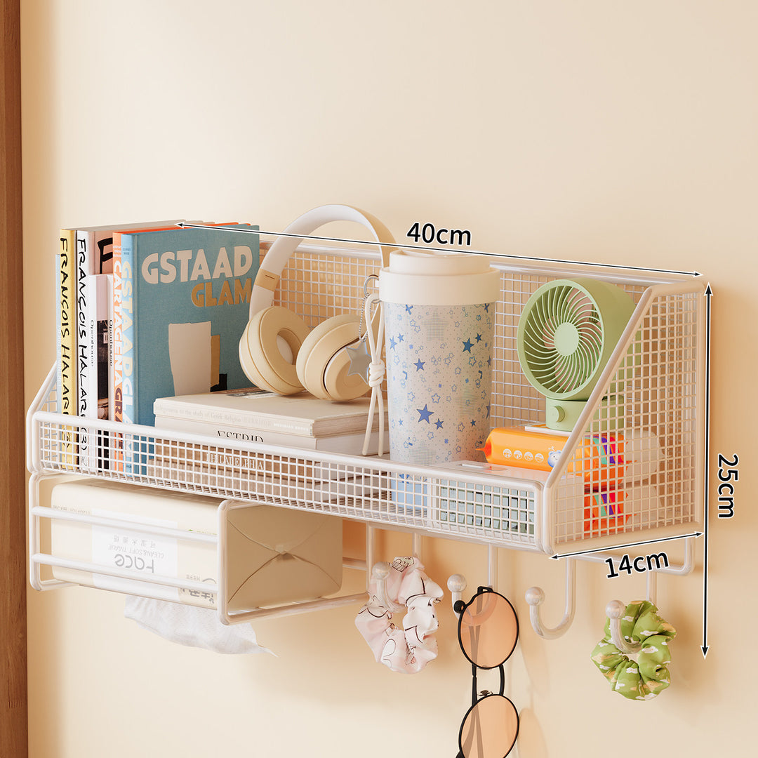 Wall-mounted mesh storage shelf