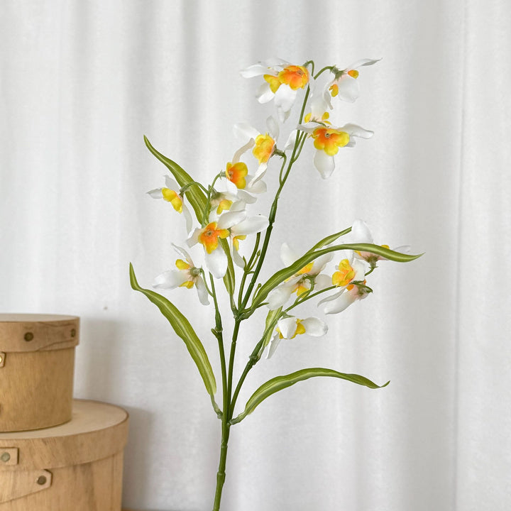 Elegant Orchid Flower Stem