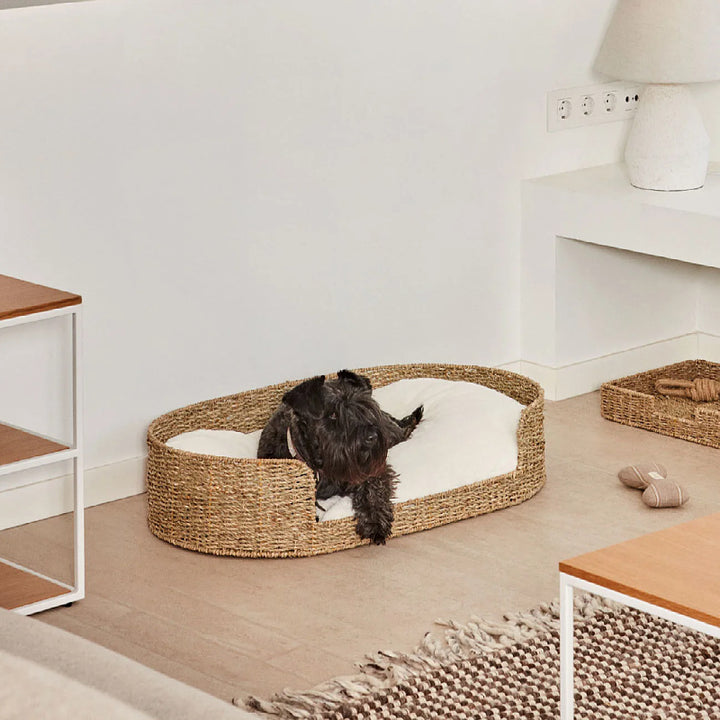 Cozy and stylish dog bed made of braided material