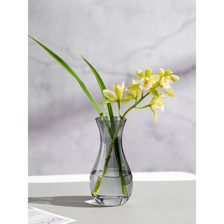 Elegant Glass Water Carafe