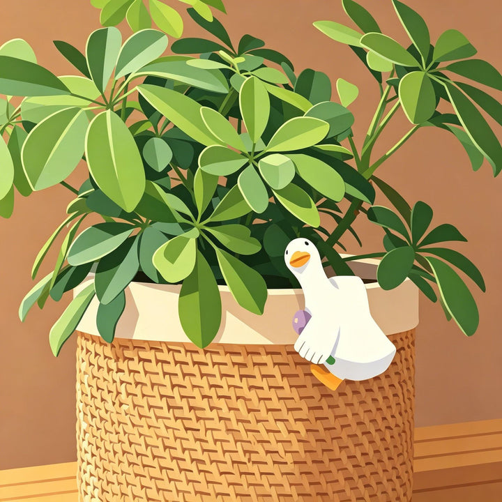 Garden Decorative Planter