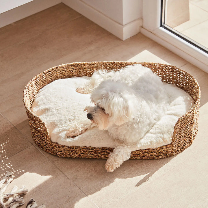 Cozy and stylish dog bed made of braided material