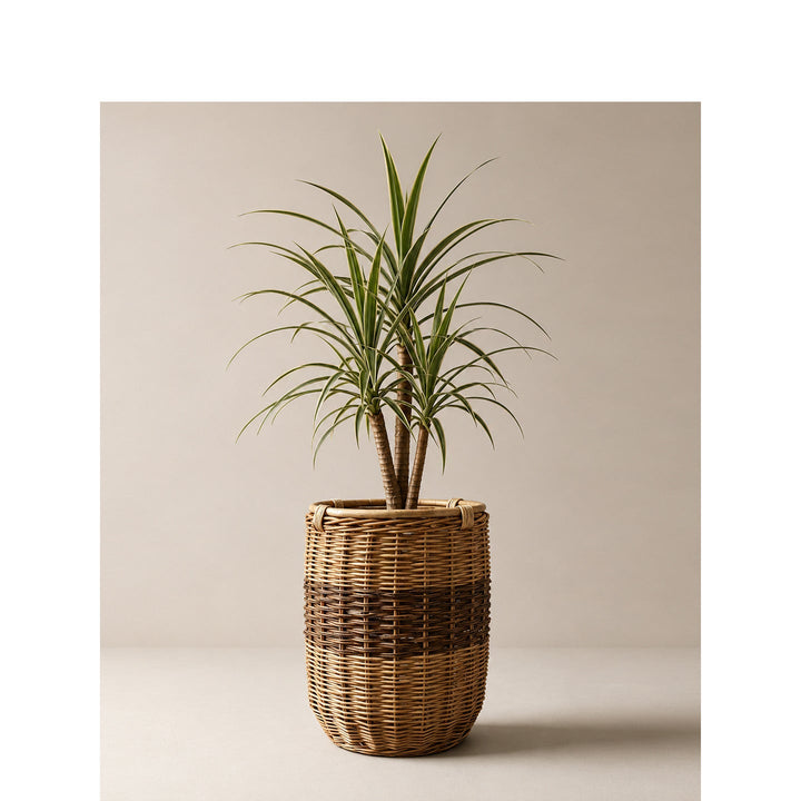 Handwoven laundry basket