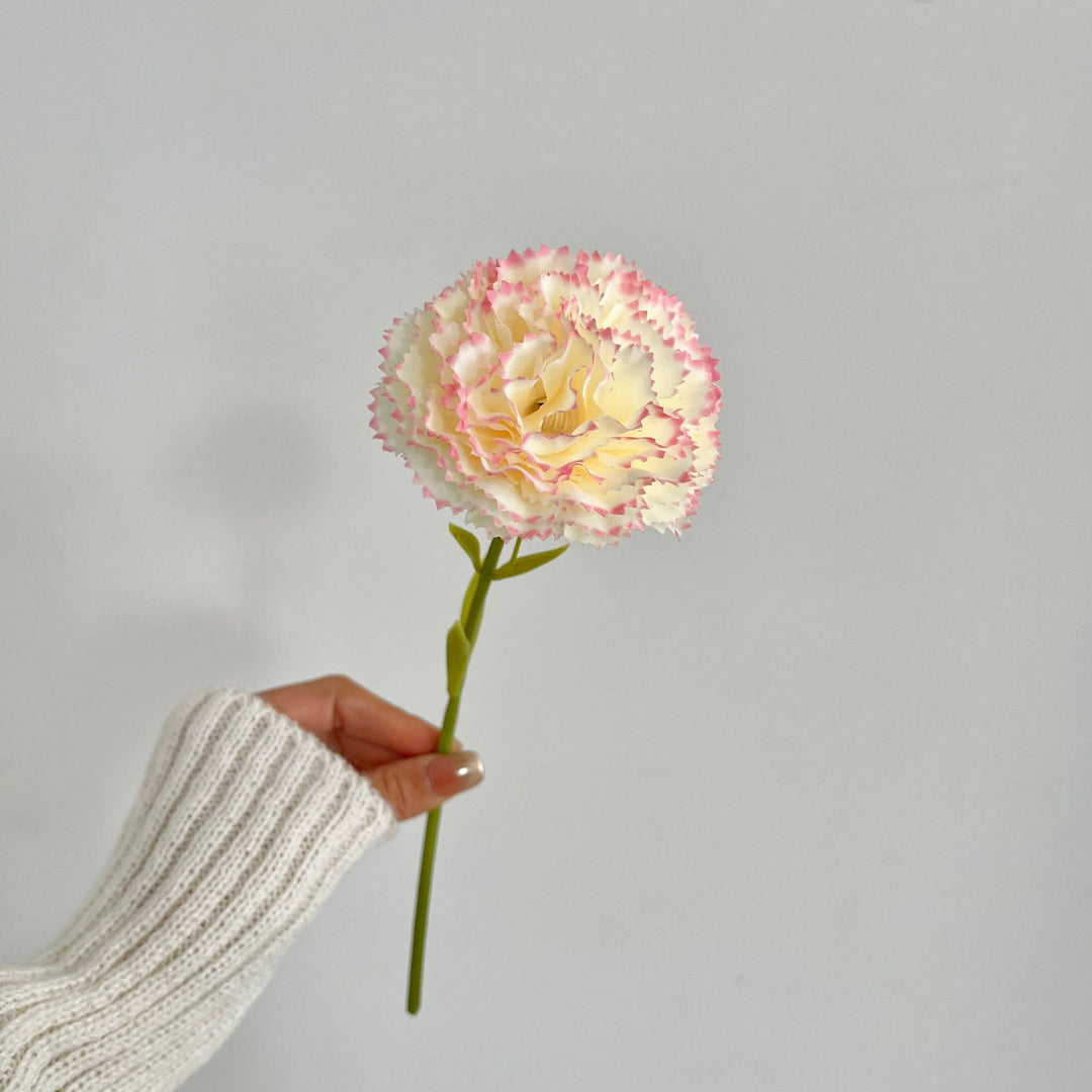 Realistic Carnation Flower Stem