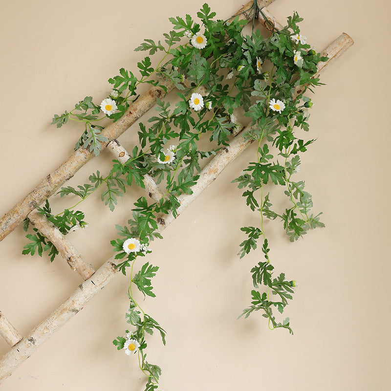 Hanging Decorative Plant