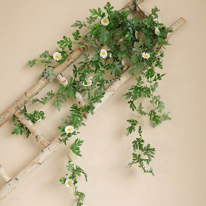 Hanging Decorative Plant