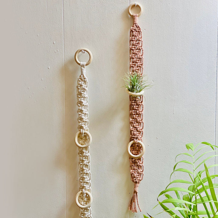 Macrame Wall Plant Holder