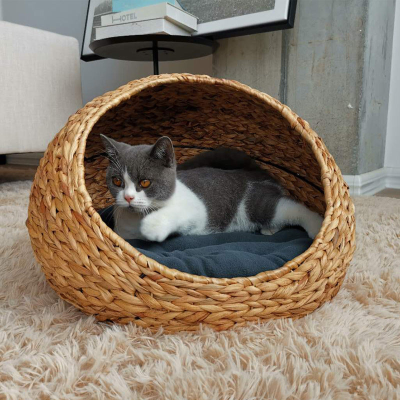 Designer Cat Bed