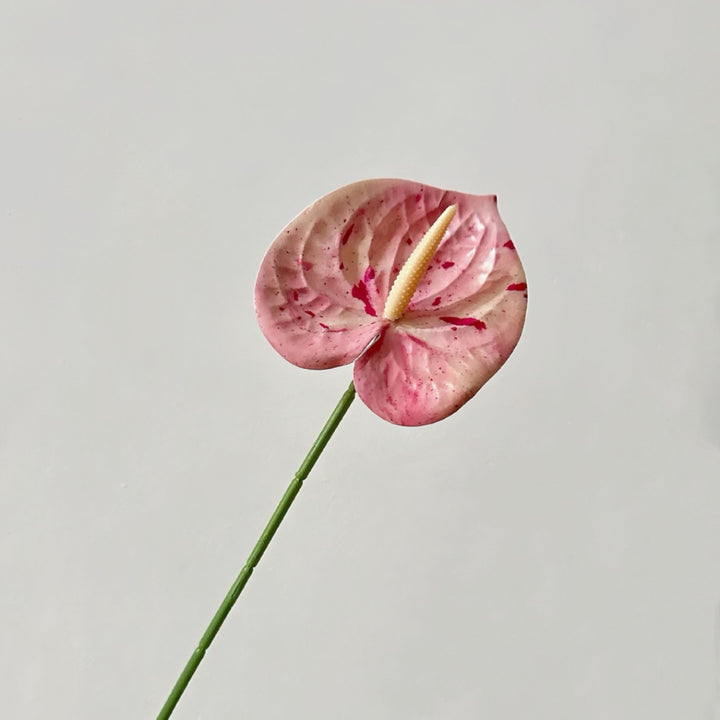 Elegant Orchid Floral Stem
