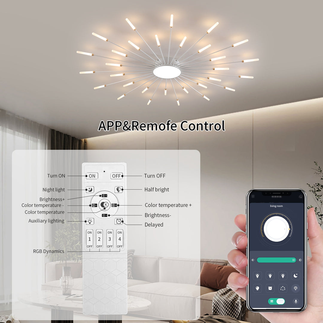 Star Explosion Ceiling Light