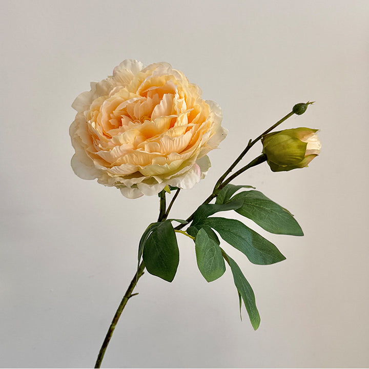 Lifelike Peony Flower Stem