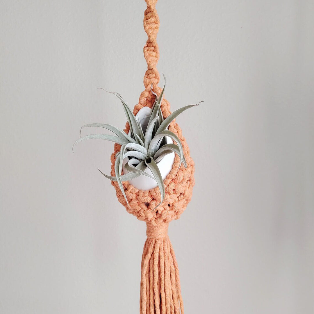 Macrame Hanging Planter Holder