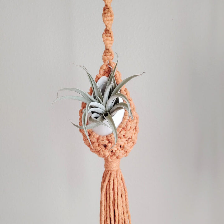 Macrame Hanging Planter Holder