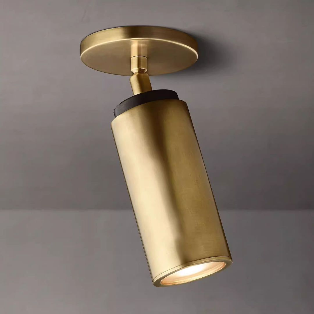 Modern ceiling lamp