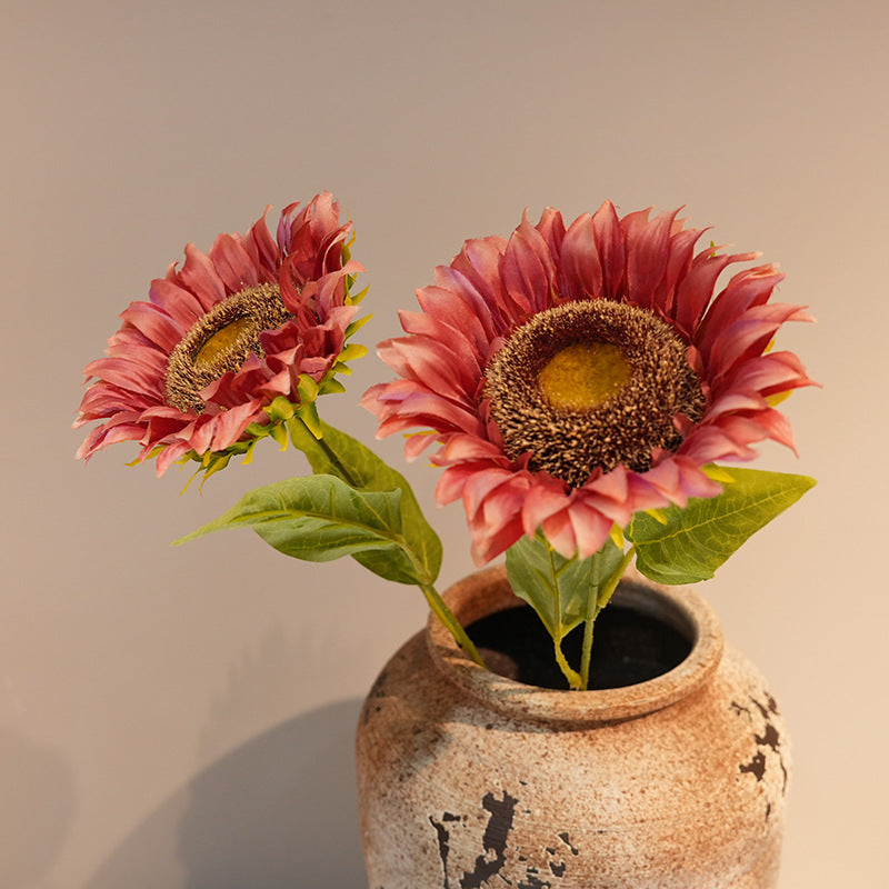 Decorative Plant