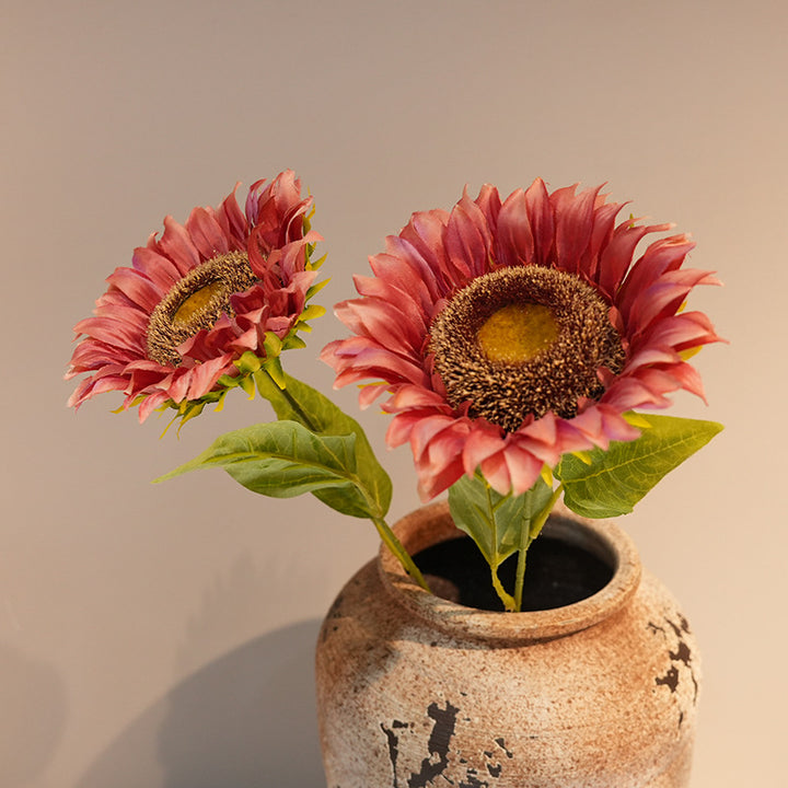 Decorative Plant