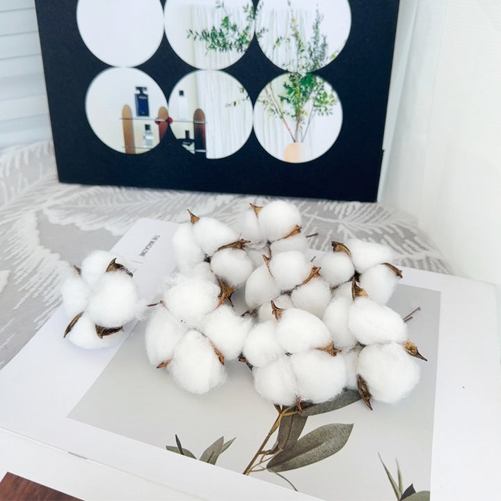 Decorative Cotton Stem for Home Decor