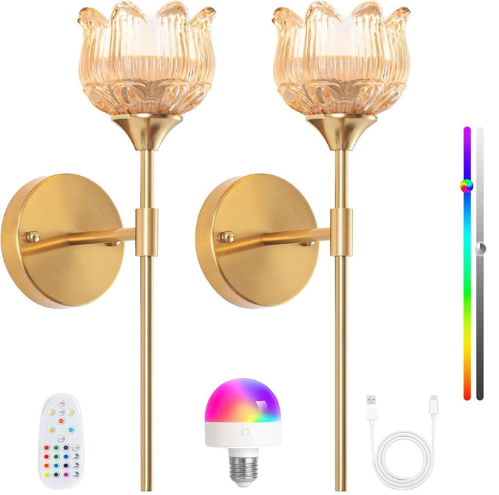 Adjustable Wall Lamp