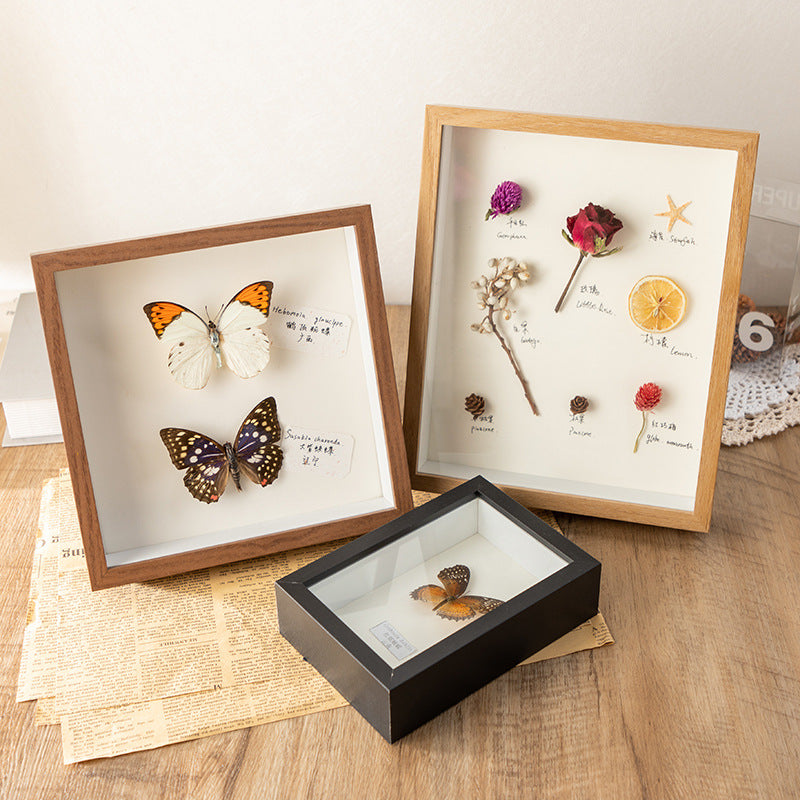 Shadow Box Display Frame
