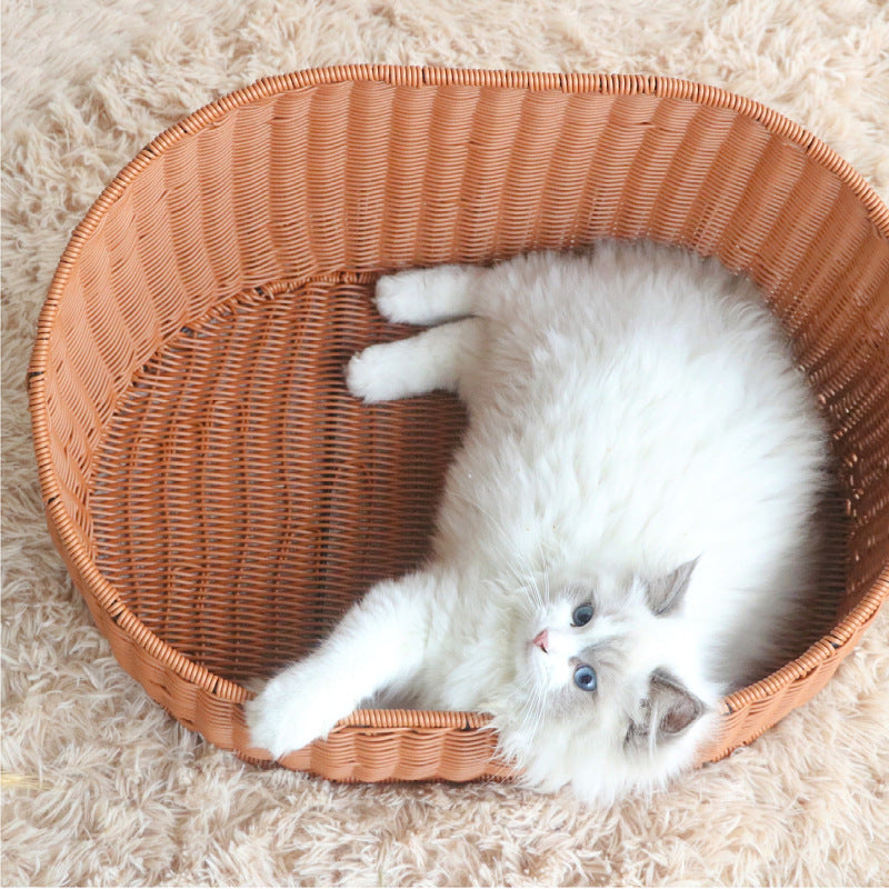 Cat bed