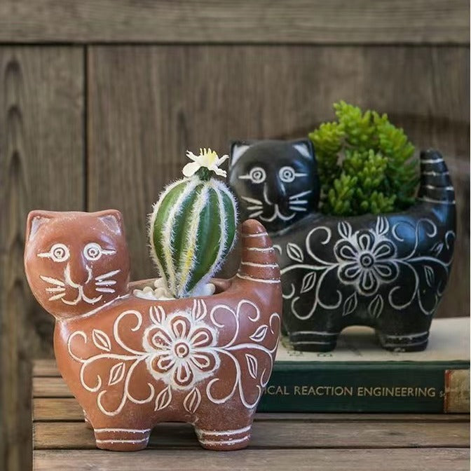 Decorative Plant