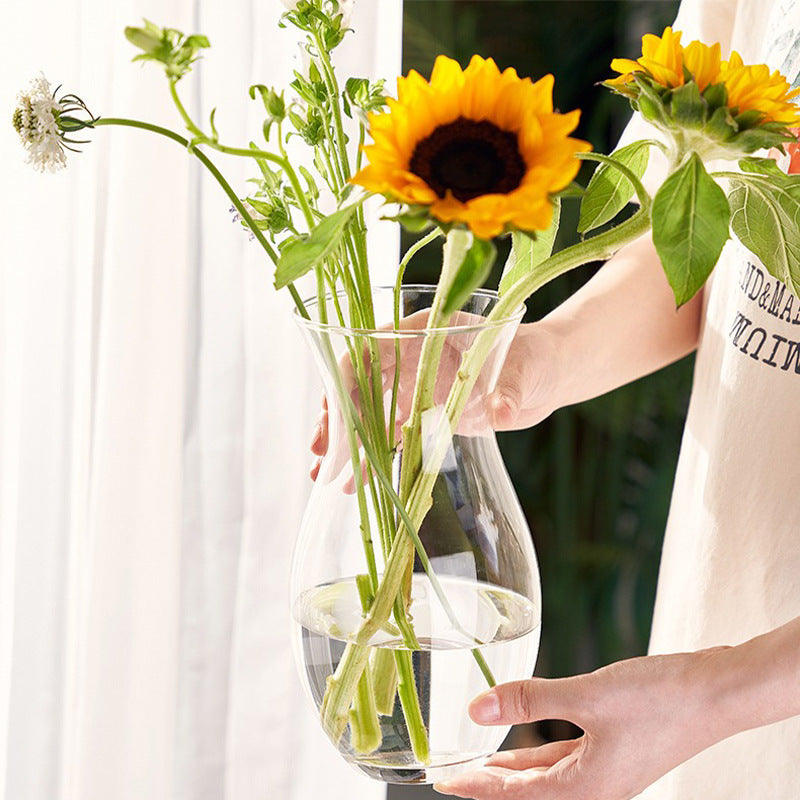 Elegant Glass Vase