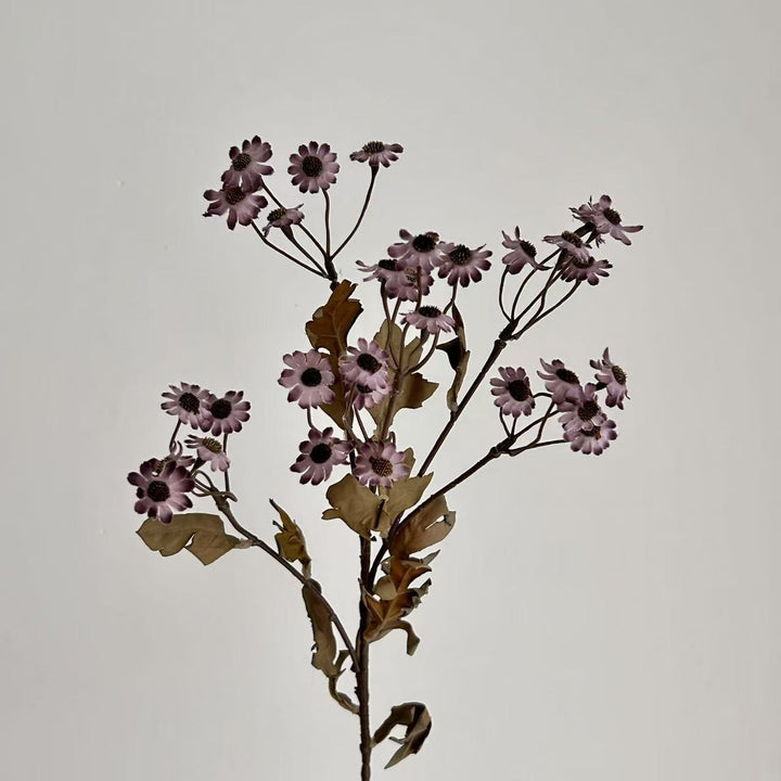 Decorative Dried Flowers