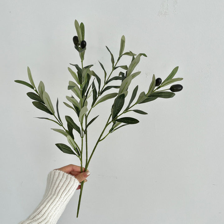 Olive Leaf Stem Arrangement