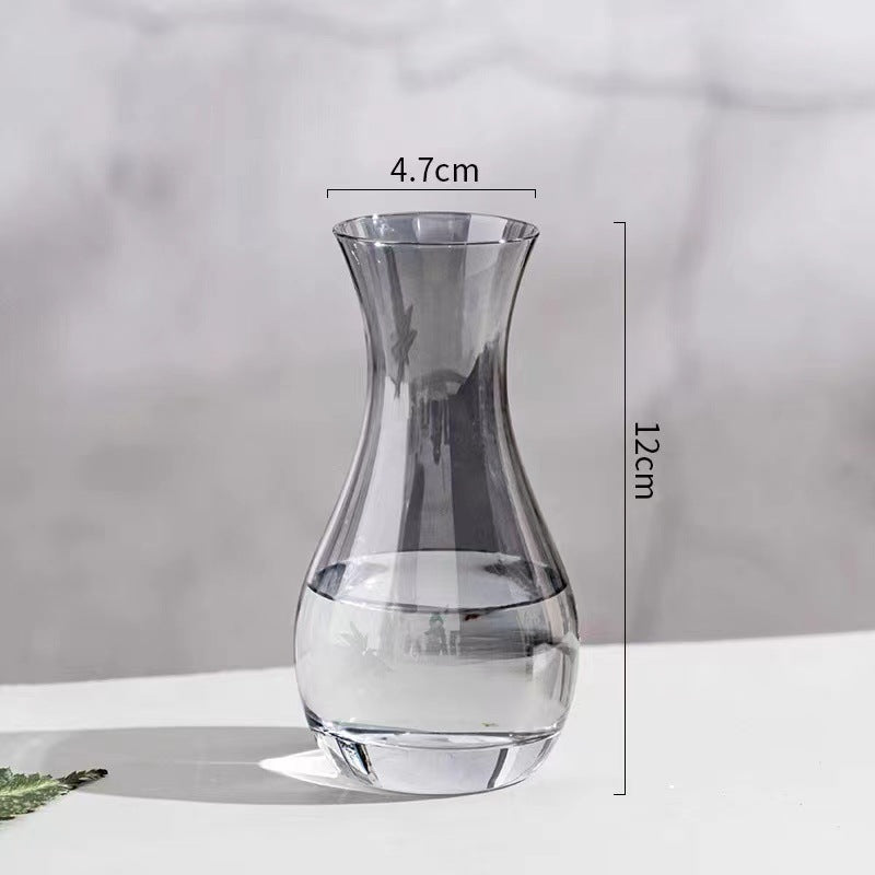 Elegant Glass Water Carafe