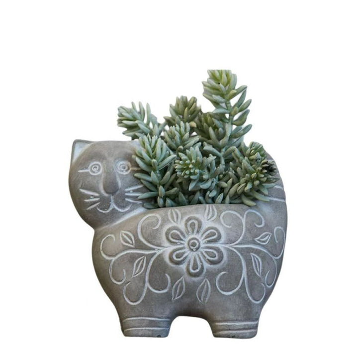 Decorative Plant