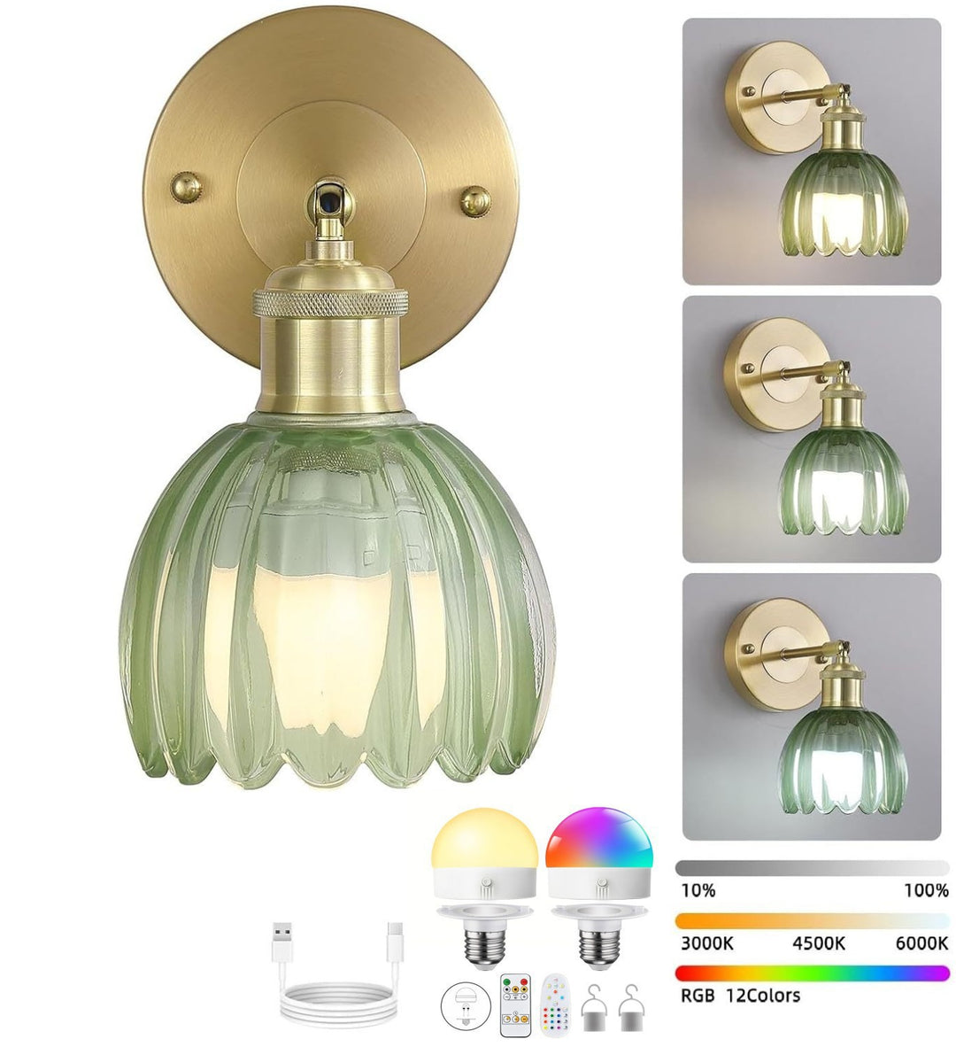 Elegant Glass Wall Lantern