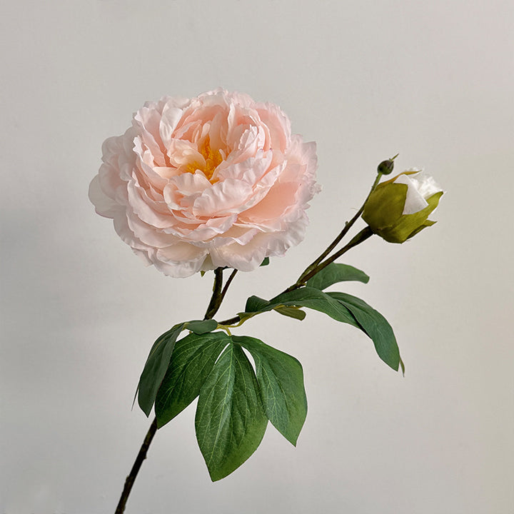 Lifelike Peony Flower Stem